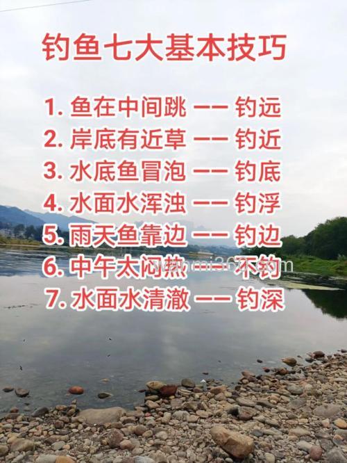 夏日野外钓鱼,分享不“空军”五大基本技巧,能让你满载而归