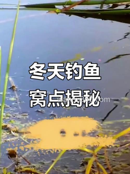 冬天鱼窝一般在哪里?