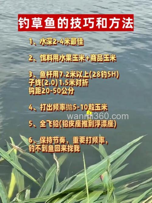 5种底钓草鱼钓法任你选,草鱼的作钓全攻略