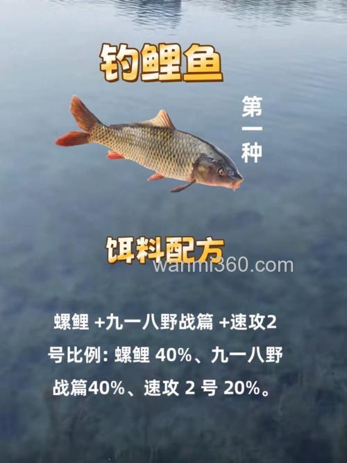 荒食怎么搭配钓鲤鱼