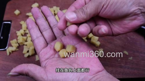 红薯挂饵方法？