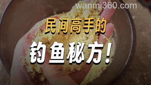 黄豆粉钓鲫鱼有奇效?