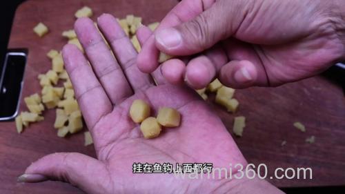 红薯钓鱼饵料制作方法