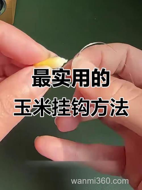 玉米籽怎么钓鱼