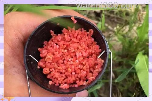 丁香酒米窝料制作方法?