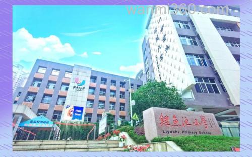 重庆江北鲤鱼池小学具体在哪?