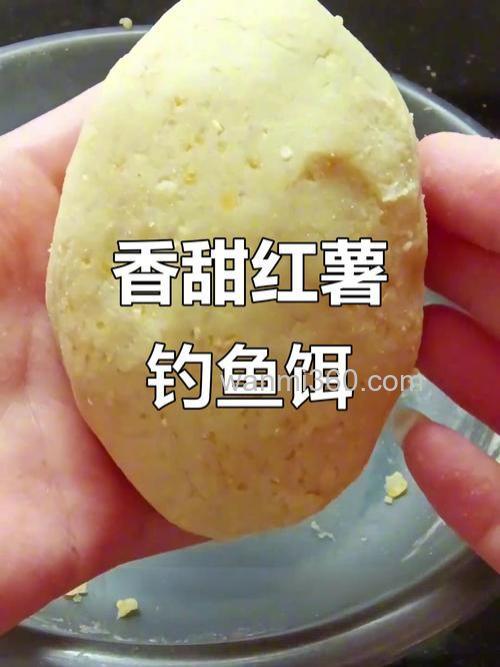用红薯自制鲢鳙饵料?