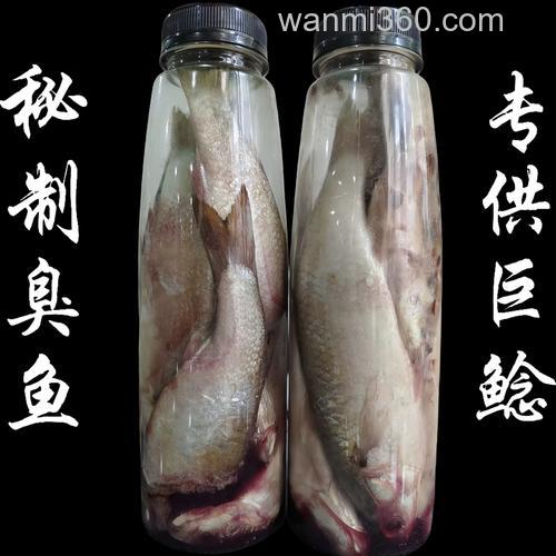钓鲶鱼的臭鱼饵？