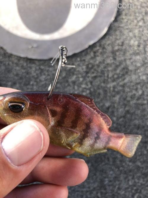 软诱精髓 DUO Realis Nomase Wakasagi 软鱼