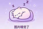 台钓甲鱼如何打窝?掌握这些技巧,中鱼率大大提高